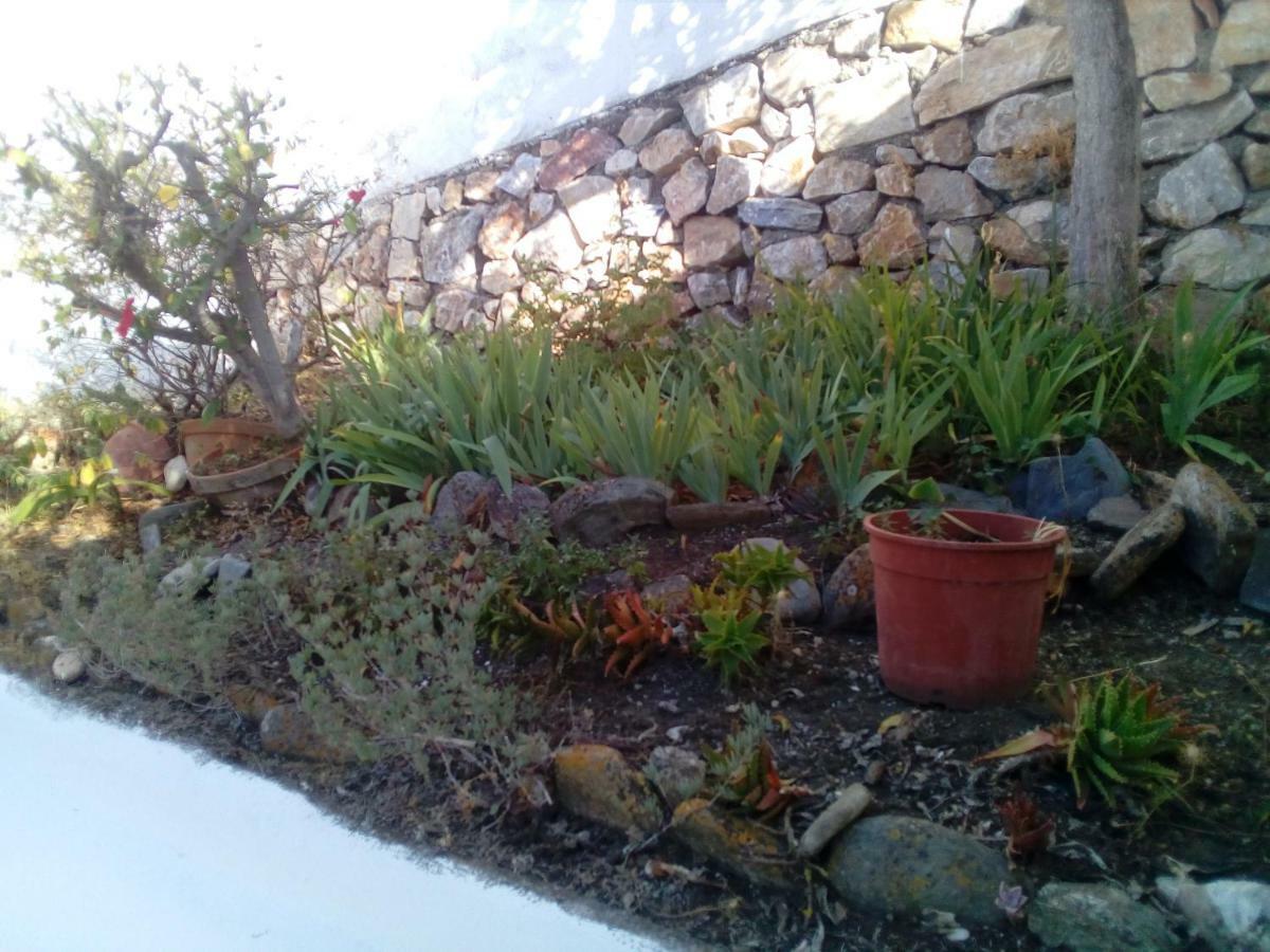 Chalecito En La Herradura- Casa Kwetu La Herradura  Eksteriør billede